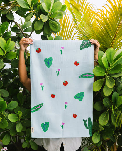 Selva 𝐜𝐥𝐚𝐬𝐬𝐢𝐜